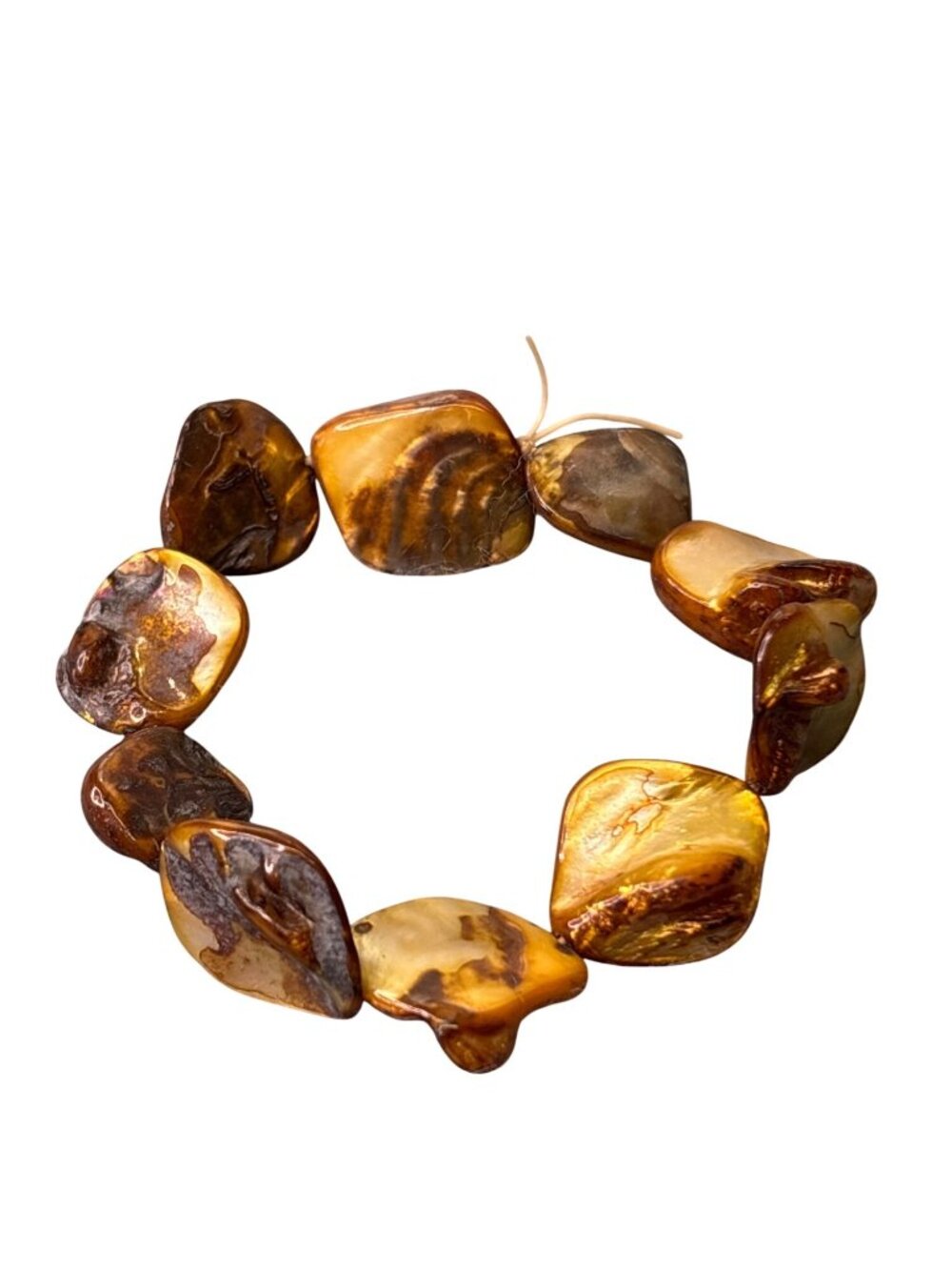 Yellow Shell Stretchy Bracelet 6 inches Unstretched
